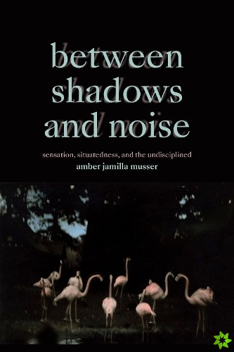 Between Shadows and Noise
