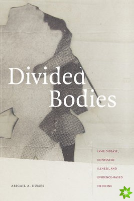 Divided Bodies