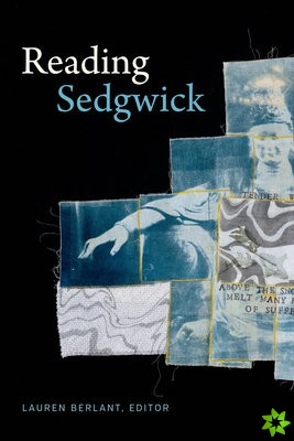 Reading Sedgwick