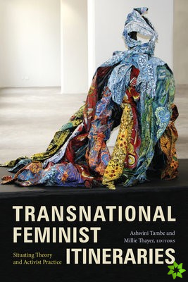 Transnational Feminist Itineraries