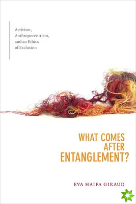 What Comes after Entanglement?