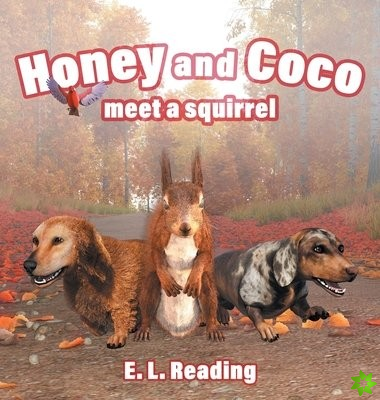 Honey and Coco meet a squirrel