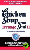 Chicken Soup For The Teenage Soul II