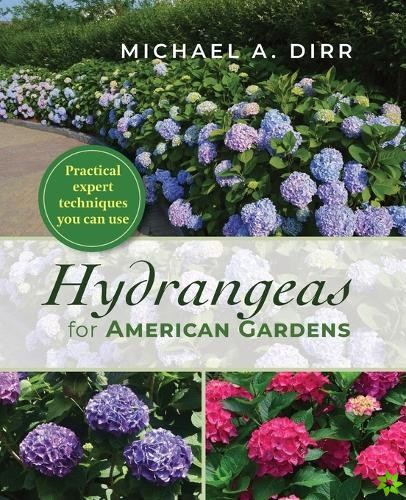 Hydrangeas for American Gardens