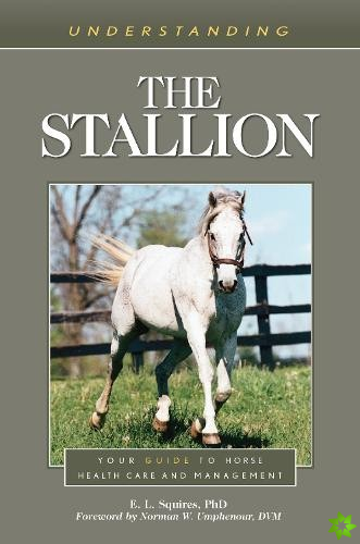 Understanding the Stallion