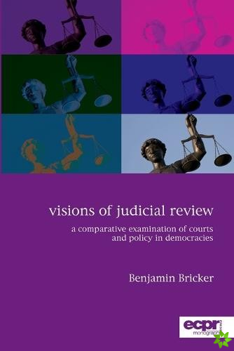 Visions of Judicial Review