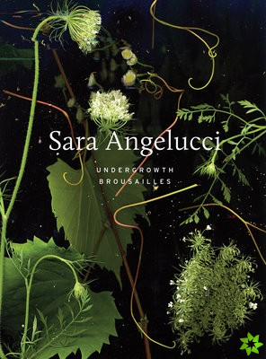 Sara Angelucci: Undergrowth / Brousailles