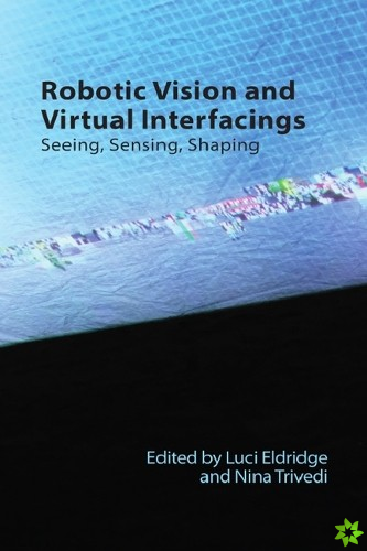 Robotic Vision and Virtual Interfacings