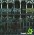Venezia oscura