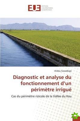 Diagnostic Et Analyse Du Fonctionnement D'Un Perimetre Irrigue