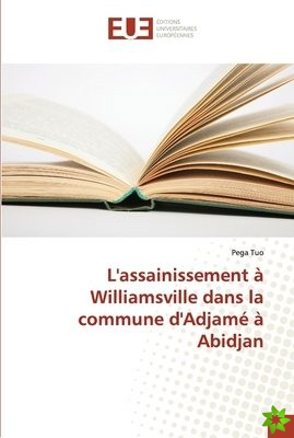 L'Assainissement a Williamsville Dans La Commune D'Adjame a Abidjan