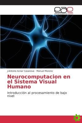 Neurocomputacion En El Sistema Visual Humano