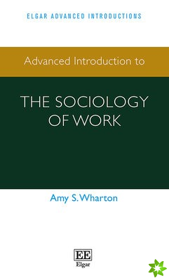 Advanced Introduction to the Sociology of Work