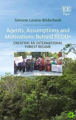 Agents, Assumptions and Motivations Behind REDD+