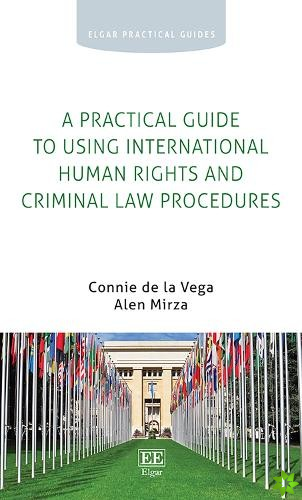 Practical Guide to Using International Human Rights and Criminal Law Procedures