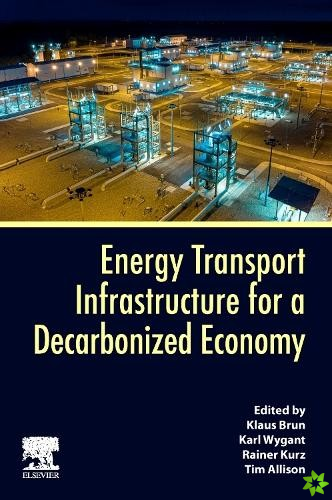 Energy Transport Infrastructure for a Decarbonized Economy