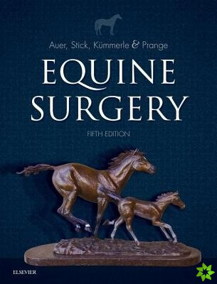 Equine Surgery