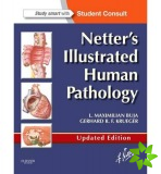 Netter's Illustrated Human Pathology Updated Edition