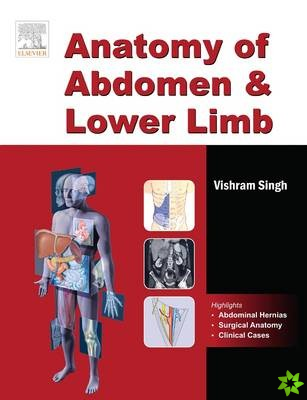 Anatomy of Abdomen and Lower Limb