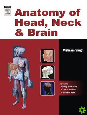 Anatomy of Head, Neck and Brain