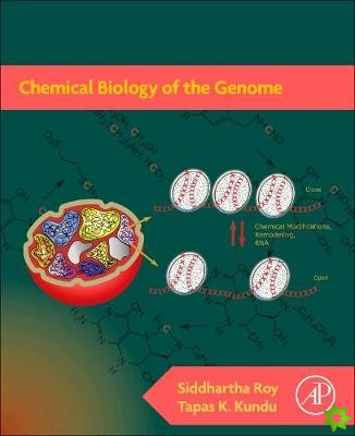 Chemical Biology of the Genome