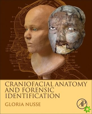 Craniofacial Anatomy and Forensic Identification