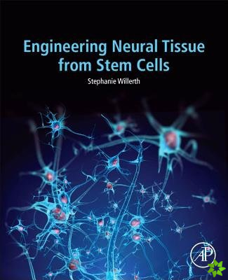 Engineering Neural Tissue from Stem Cells