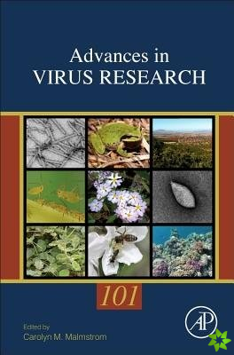 Environmental Virology and Virus Ecology