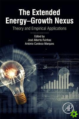 Extended Energy-Growth Nexus