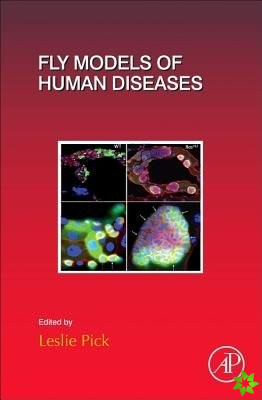 Fly Models of Human Diseases