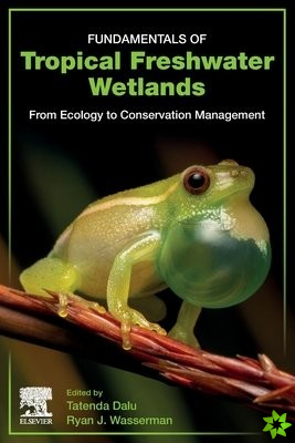 Fundamentals of Tropical Freshwater Wetlands