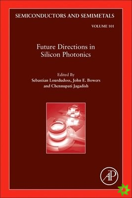 Future Directions in Silicon Photonics