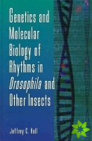 Genetics and Molecular Biology of Rhythms in Drosophila and Other Insects