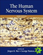 Human Nervous System