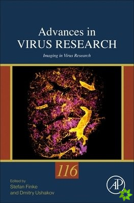 Imaging in Virus Research