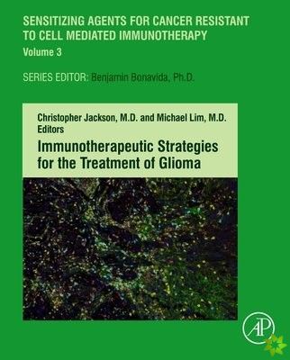 Immunotherapeutic Strategies for the Treatment of Glioma