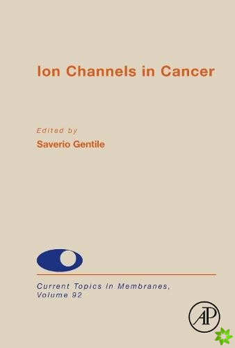 Ion Channels in Cancer