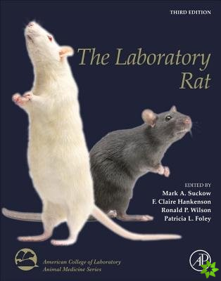 Laboratory Rat