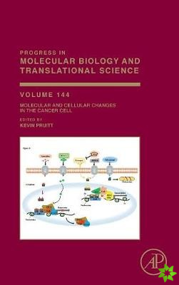 Molecular and Cellular Changes in the Cancer Cell