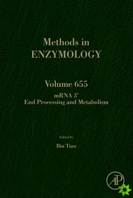 mRNA 3' End Processing and Metabolism