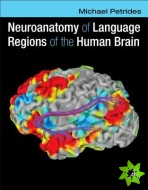 Neuroanatomy of Language Regions of the Human Brain