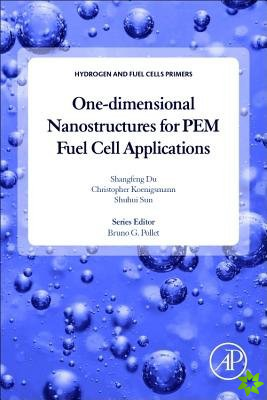 One-dimensional Nanostructures for PEM Fuel Cell Applications