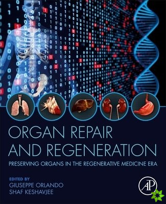 Organ Repair and Regeneration