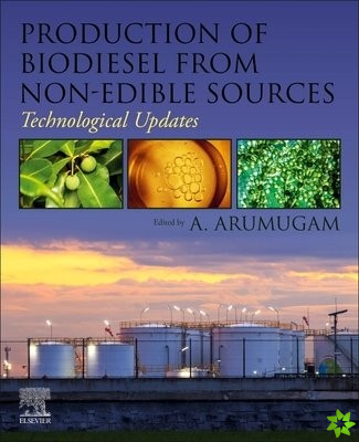 Production of Biodiesel from Non-Edible Sources