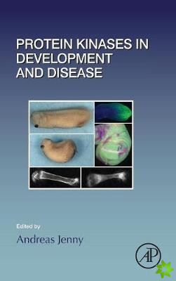 Protein Kinases in Development and Disease