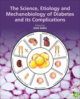 Science, Etiology and Mechanobiology of Diabetes and its Complications