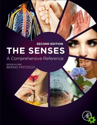 Senses: A Comprehensive Reference