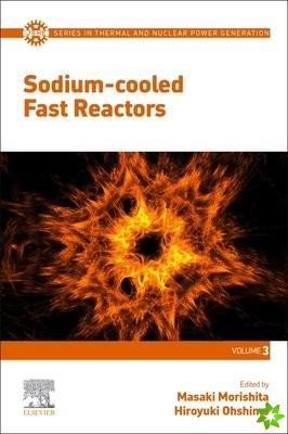 Sodium-cooled Fast Reactors