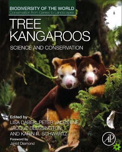 Tree Kangaroos