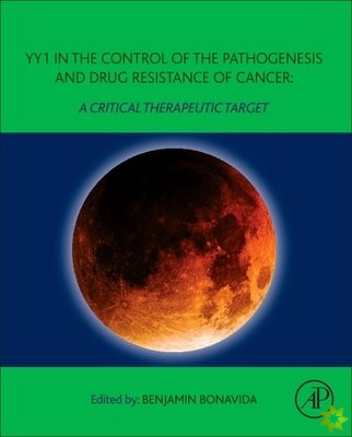 YY1 in the Control of the Pathogenesis and Drug Resistance of Cancer